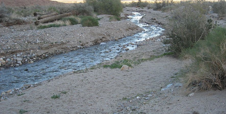 mount sinai stream