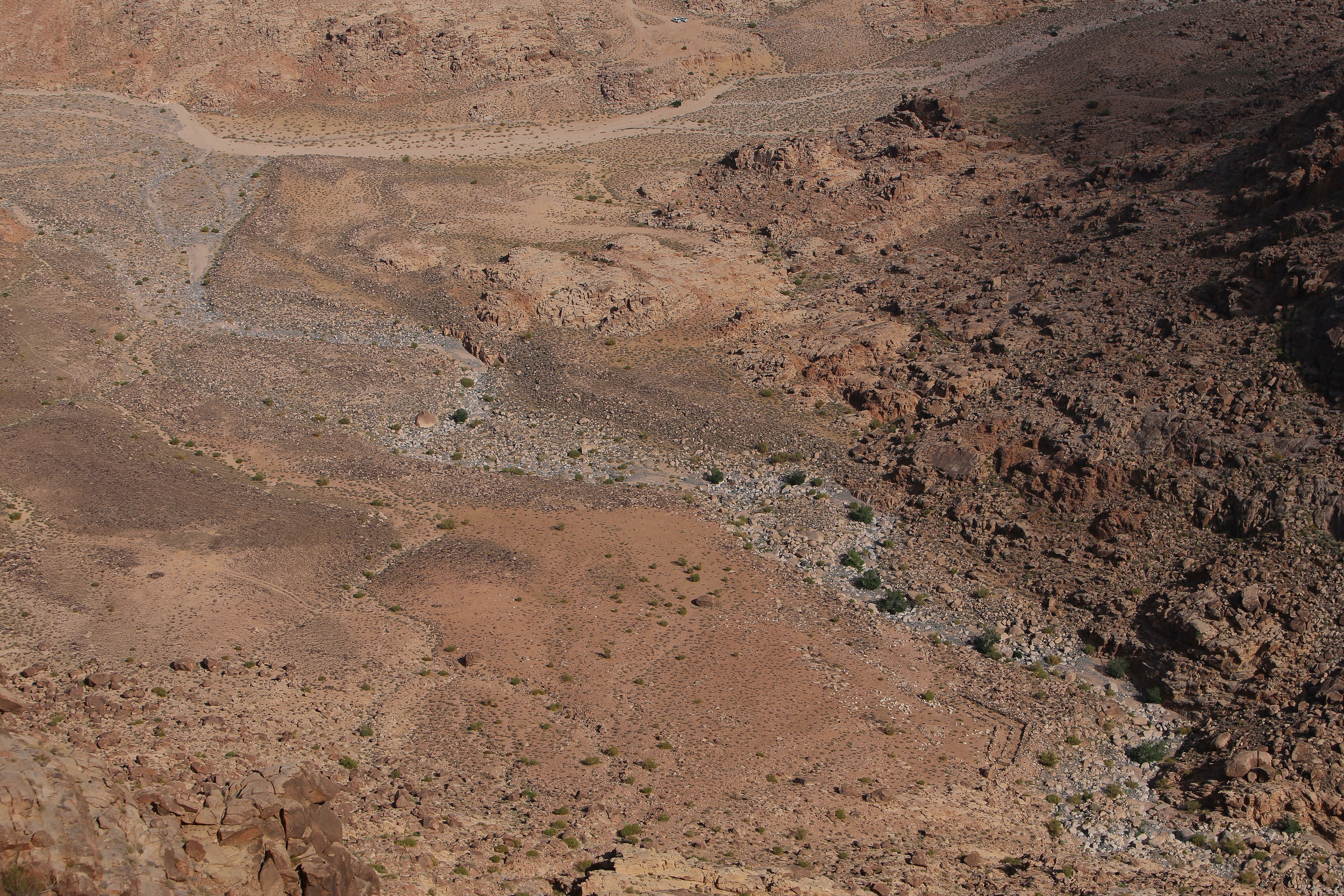 stream from mount sinai