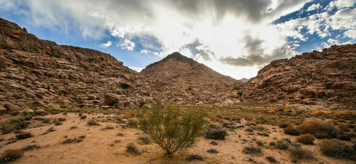 mount sinai boundary markers