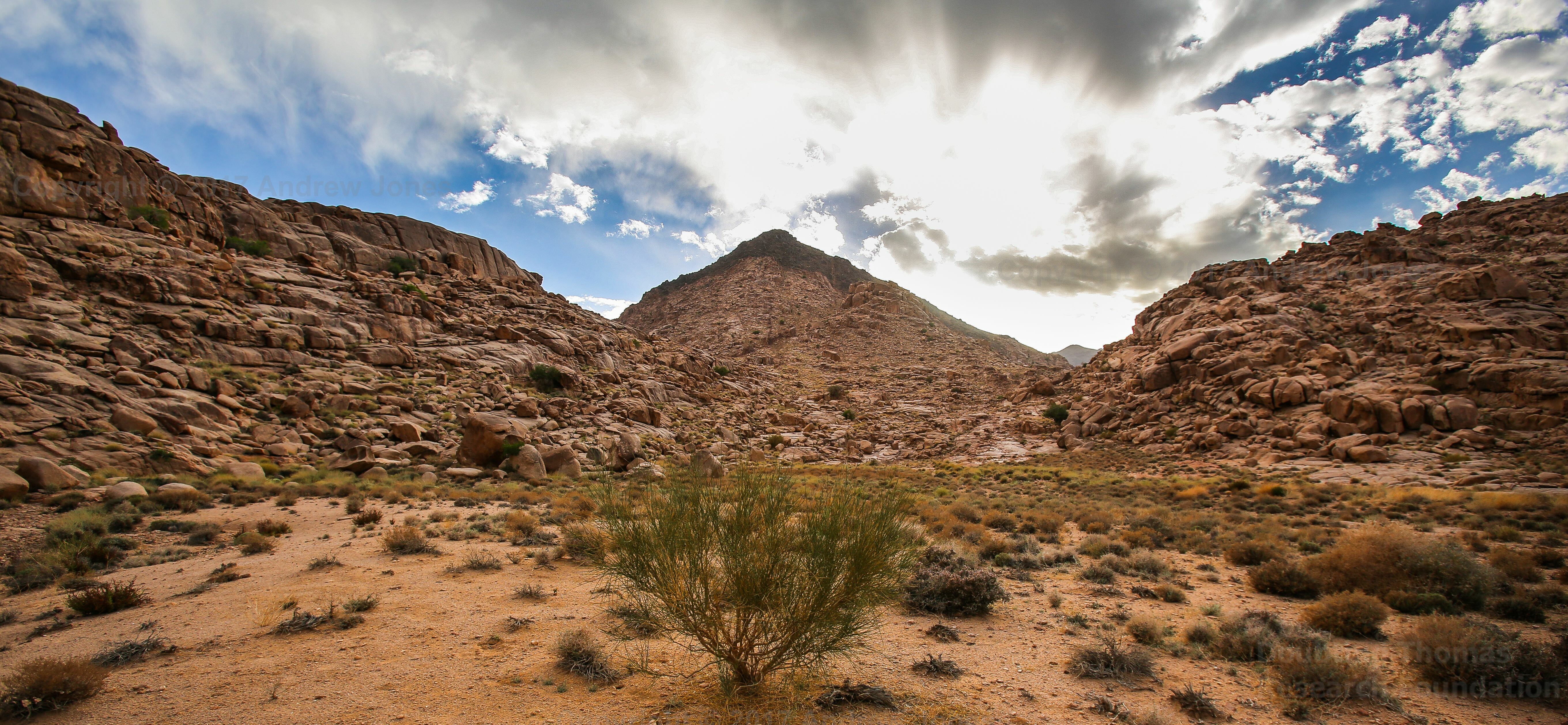 mount sinai boundary markers