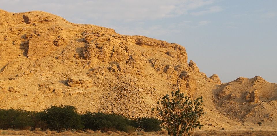 saudi desert wilderness of shur